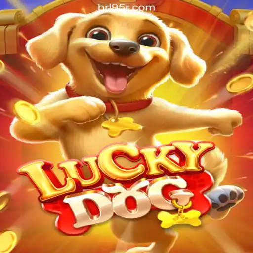 Dive into the Exciting World of LuckyDog on 95R.COM: The #1 Platform for Official Slots in Brazil